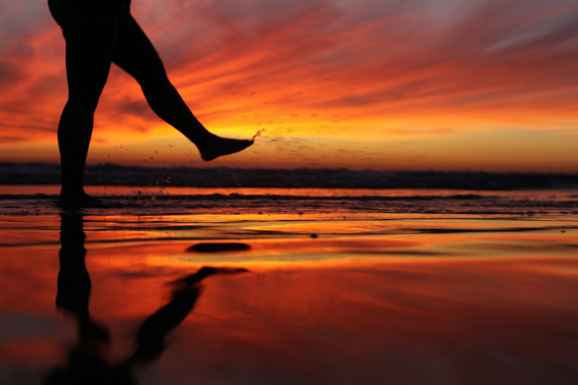 logan-ward-3SWk8-lPtbk-unsplash